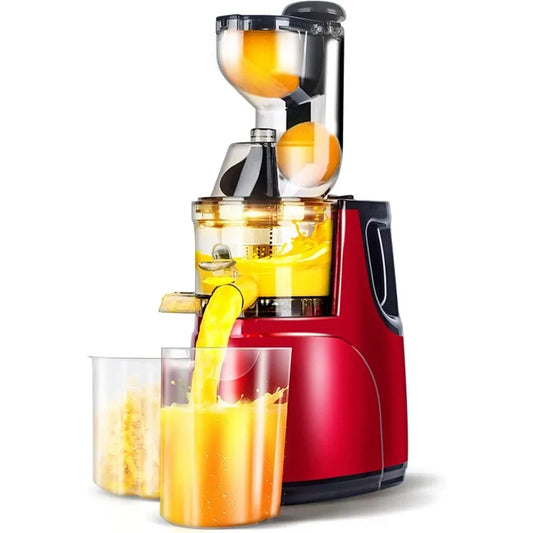 Masterset Juicer Machine Pro 250W